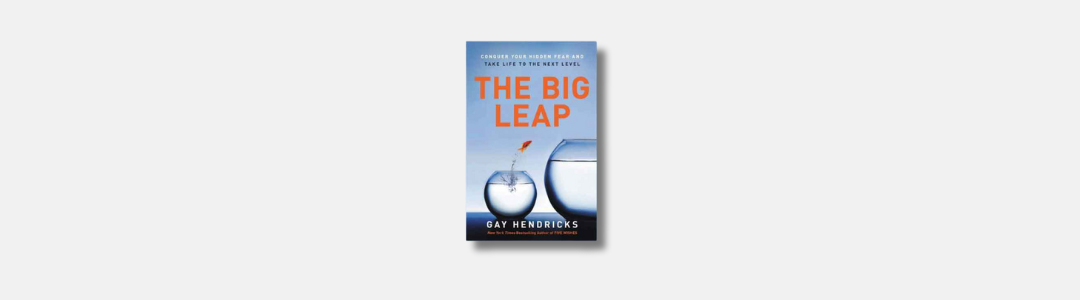 The big leap book