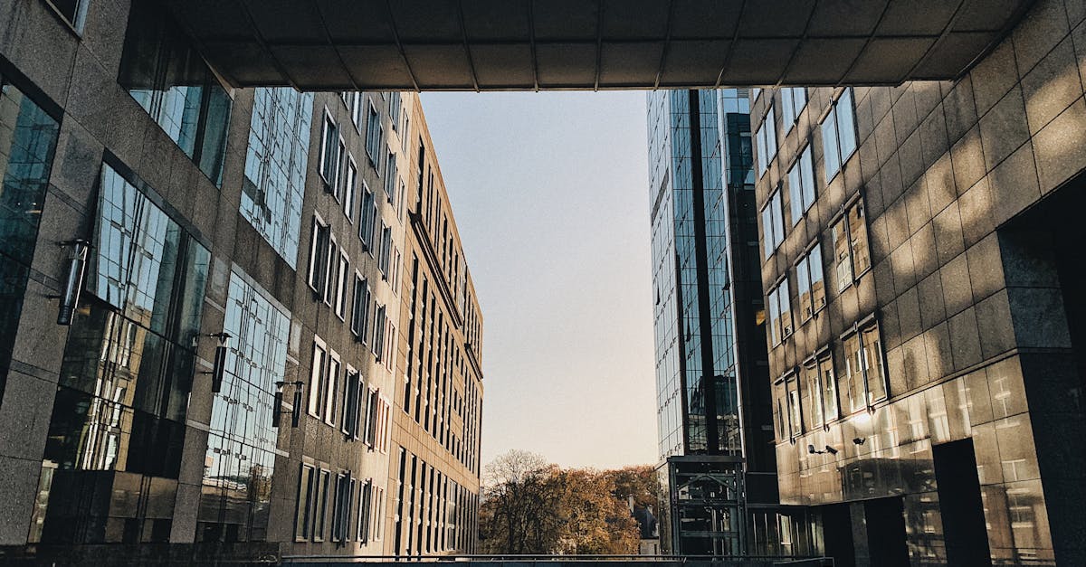 A stunning view of modern architecture in Brussels, captured at sunset, showcasing sleek glass facades.