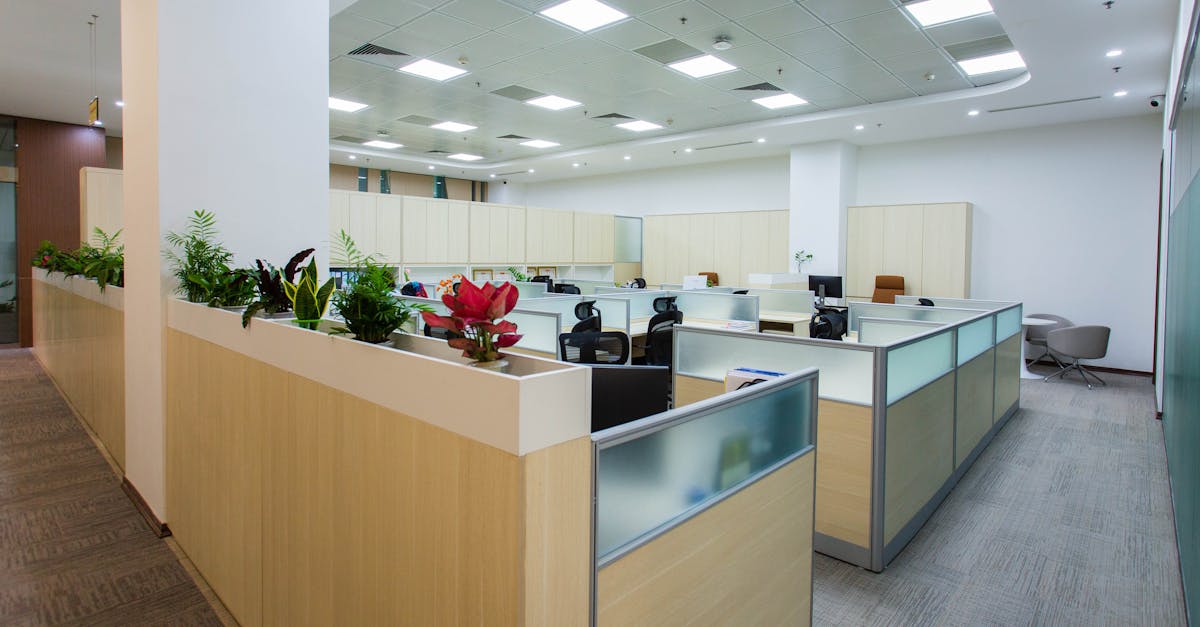 Spacious and bright open office area with cubicles, plants, and contemporary design.