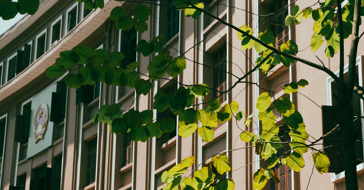 A vibrant urban cityscape featuring green leaves against a government building facade.