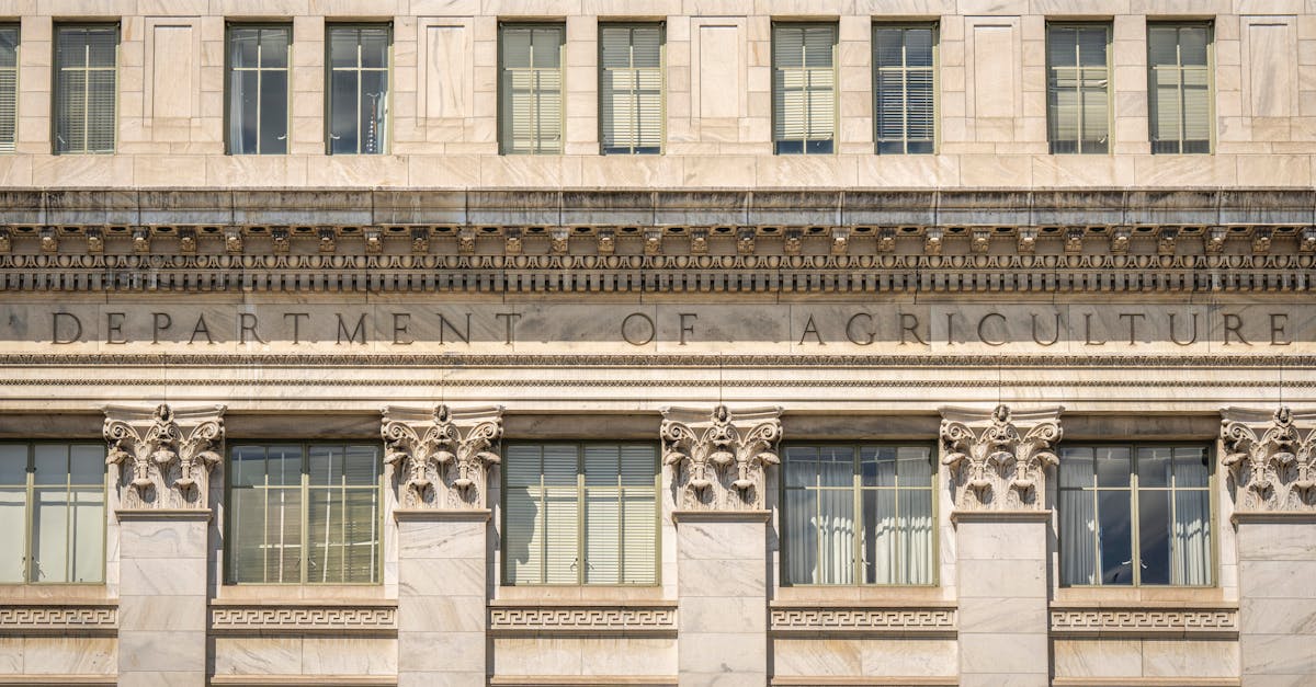 Bow River Specialty Finance Fund II LP Files SEC Document