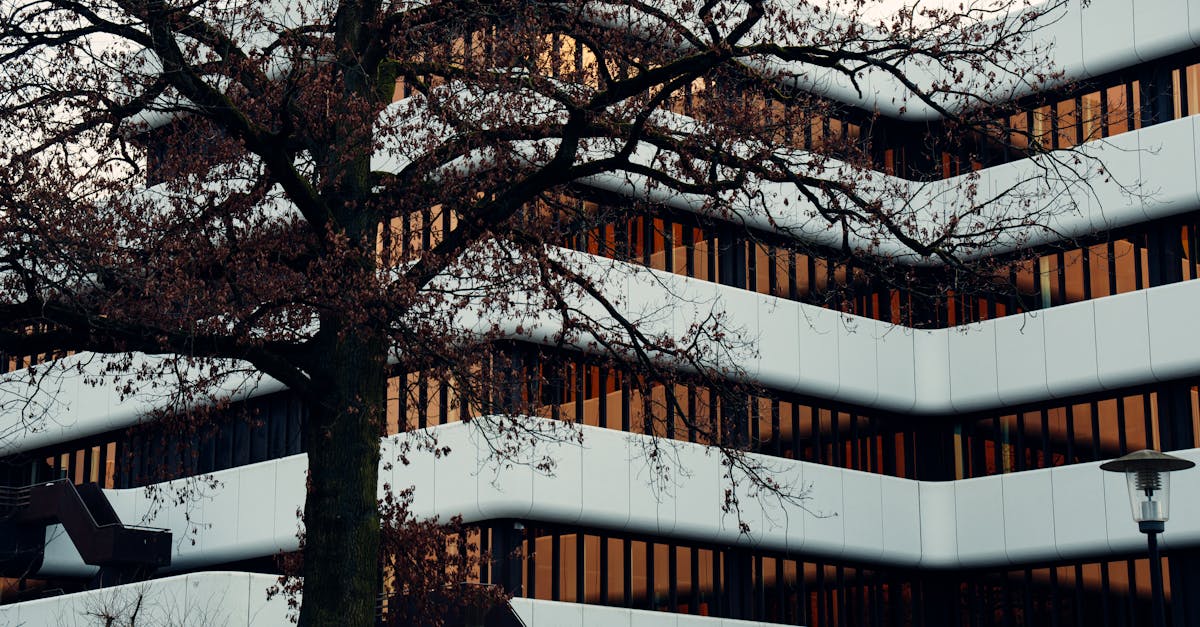 CenterOak Acquires Grismer Tire & Auto Service