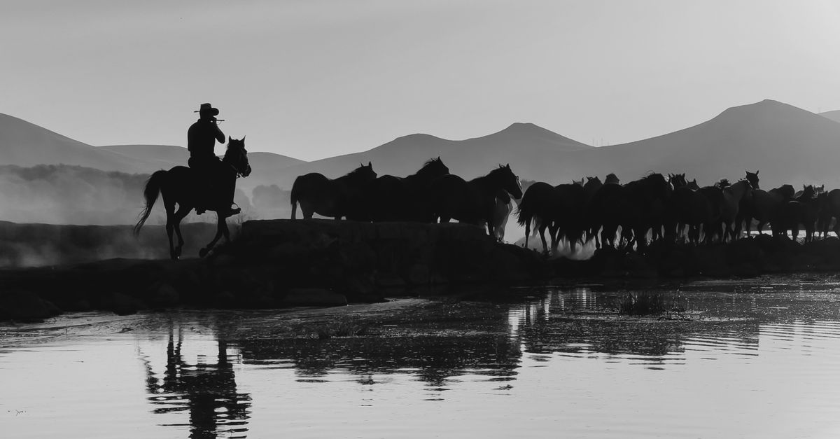 Black and white image of a cowboy herding horses across a lake at sunrise.