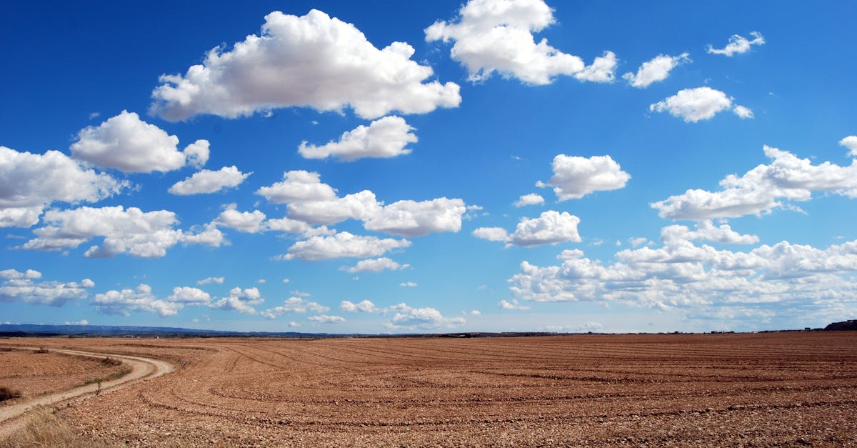 Expansive rural field with fluffy clouds and a clear blue sky.