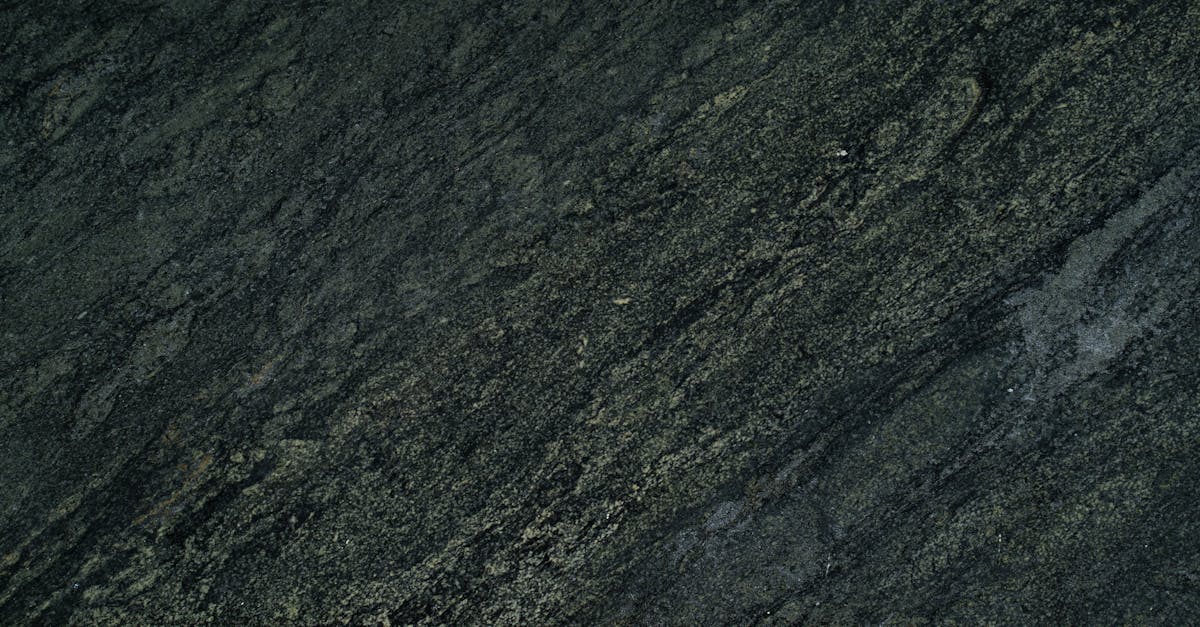 Close-up of a dark stone surface showing rough texture and distinct patterns.