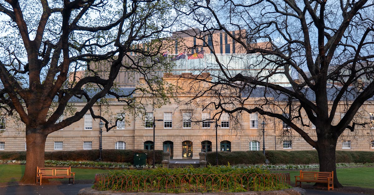 Historic Hobart Courthouse framed by trees in early morning light, Tasmania.