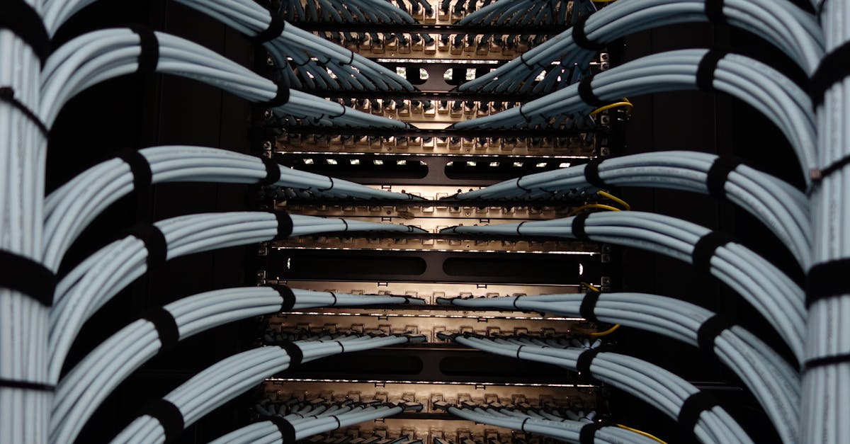 Organized network server cables for efficient data management.