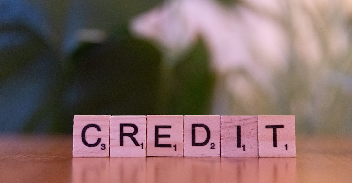 Close-up of wooden blocks spelling 'credit' with a blurred leafy background.