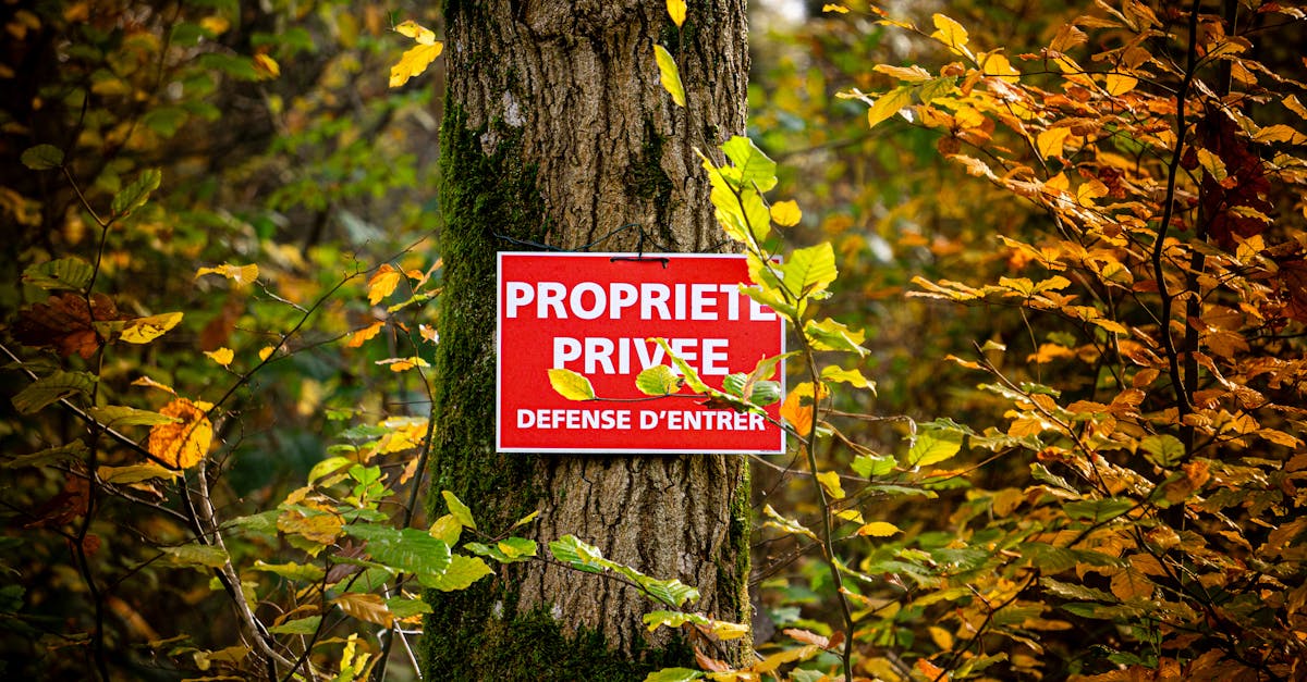 A French 'Private Property' sign on a tree amidst vibrant autumn foliage.