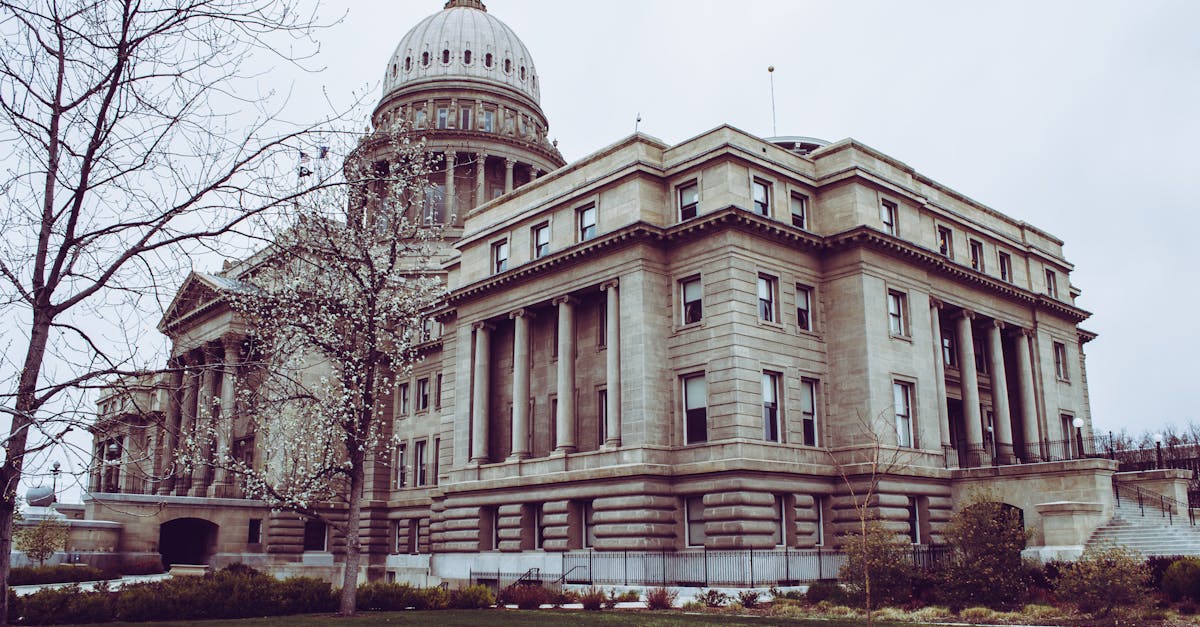 Low angle view of a historic capitol building with a dome, columns, and surrounding trees.