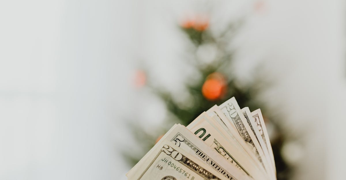 A close-up shot of US dollar banknotes with a blurred tree in the background, suggesting festive savings.