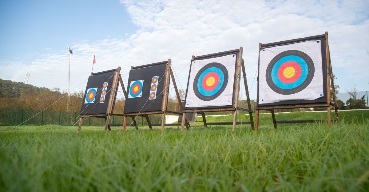 View of archery targets set up on a lush green field with a clear sky.
