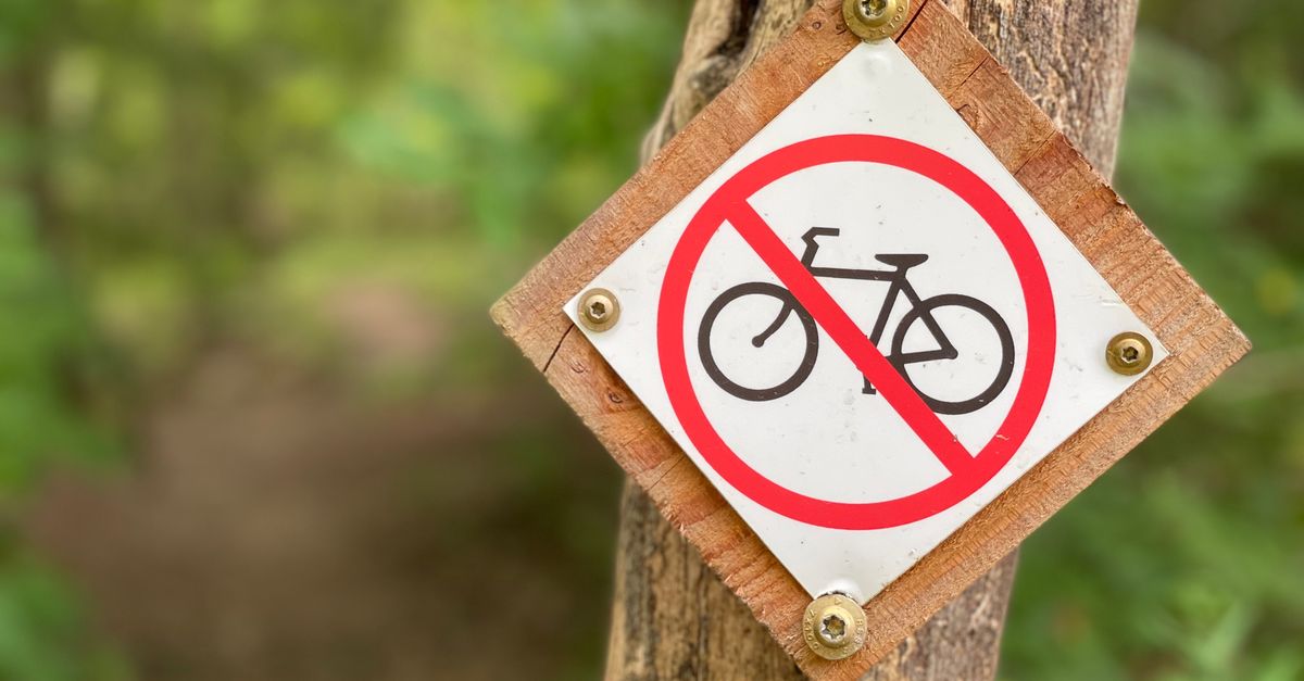 A no bicycle sign fastened to a tree trunk in a forest, indicating a prohibition.