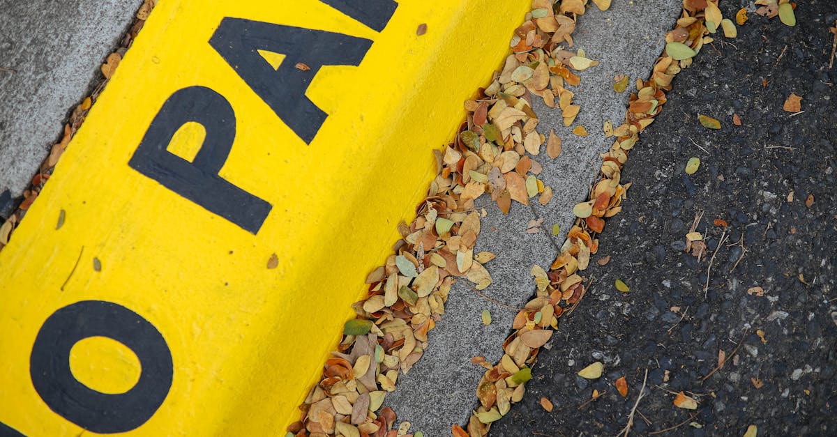 Bright yellow curb marked 'No Parking' with scattered autumn leaves.