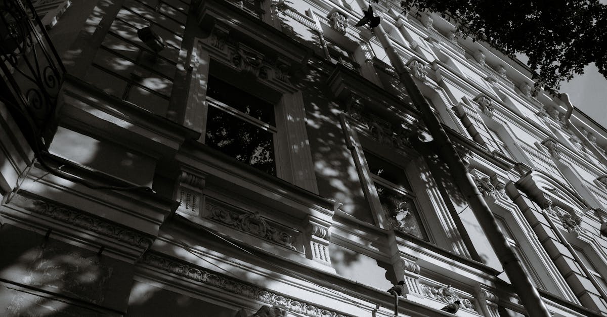 Grayscale view of a classic building facade with intricate shadows and details.
