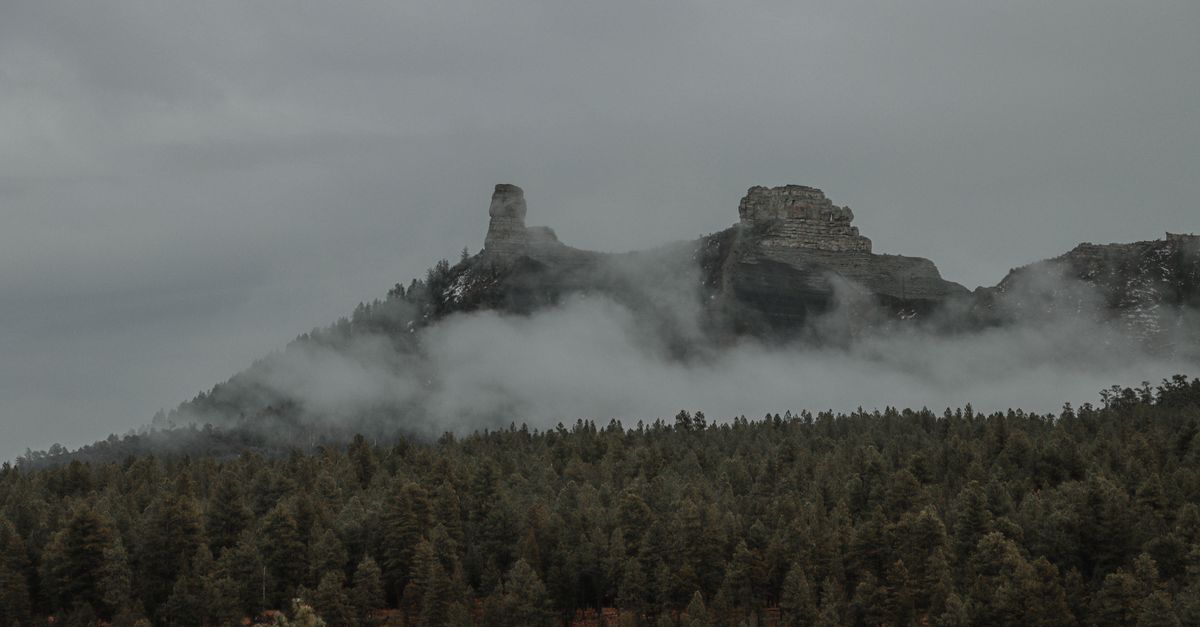 Misty view of coniferous forest and rugged mountain in Colorado.