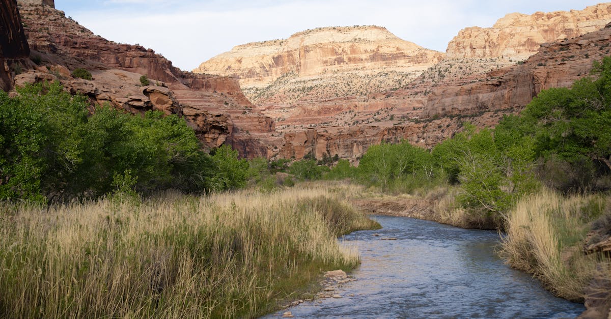 MPC IL River Edge Fund LLC Files SEC Document