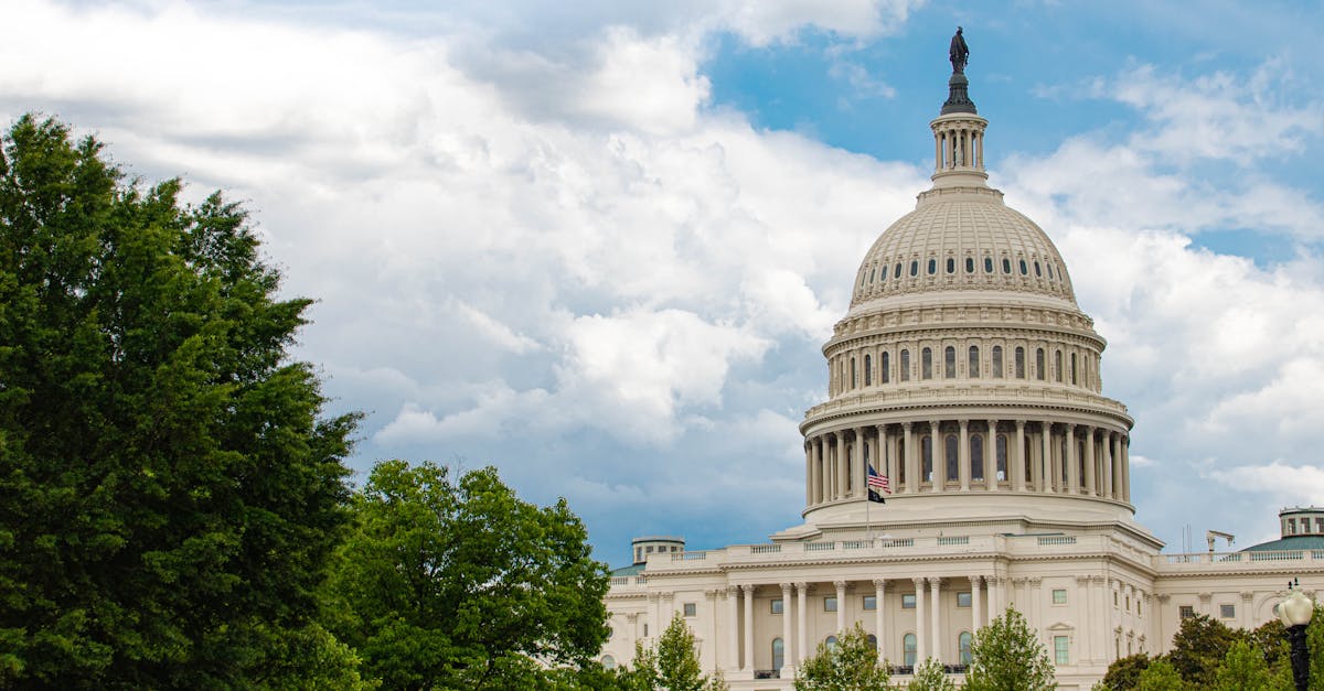 Iconic view of the U.S. Capitol building surrounded by lush trees in Washington D.C.