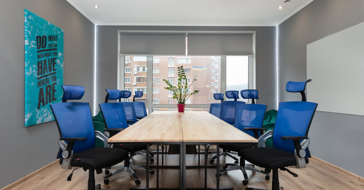 Armchairs at table with green plant placed near wall with creative signboard in modern conference room with window in office
